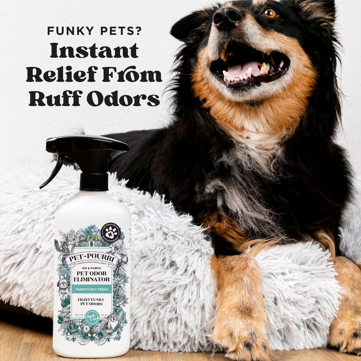 Pet~Pourri Pawsitively Fresh Pet & Home Deodorizer Spray, Jasmine + Fresh Air + Pear, 16Oz