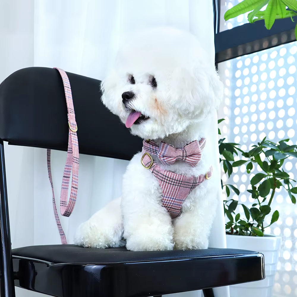 Nylon Dog Collar Harness Leash Set Adjustable Puppy Dogs Harnesses Vest Cute Bowknot Pet Collars with Lead for Small Medium Dogs