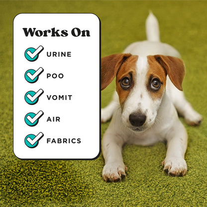 Pet~Pourri Pawsitively Fresh Pet & Home Deodorizer Spray, Jasmine + Fresh Air + Pear, 16Oz