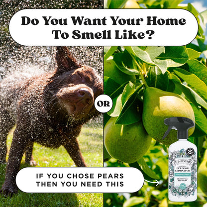 Pet~Pourri Pawsitively Fresh Pet & Home Deodorizer Spray, Jasmine + Fresh Air + Pear, 16Oz